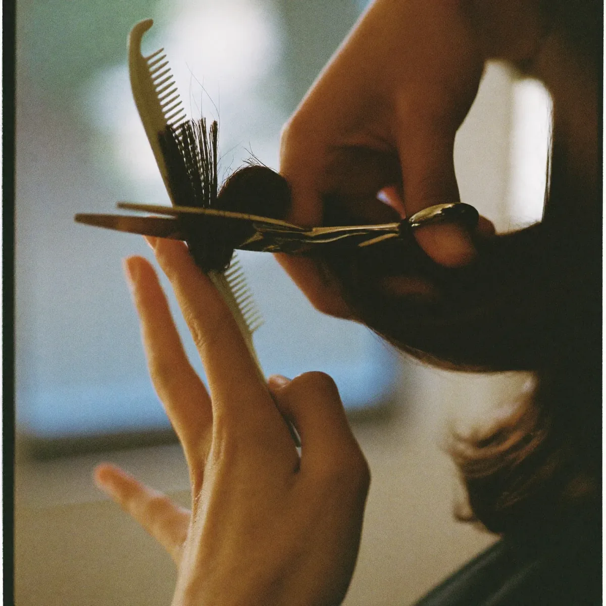 Hands holding a comb and scissors, trimming the ends of a section of hair